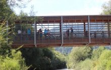 IMG_4294.jpg