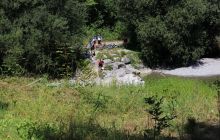 IMG_4423.jpg