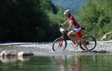 12erHorn MTB 2010_204.jpg